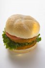 Double chicken burger — Stock Photo