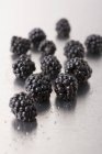 Fresh ripe Blackberries — Stock Photo