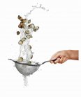 Washing mussels in sieve — Stock Photo