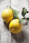 Fresh lemons with leaves — Stock Photo
