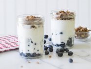 Blueberry parfait with fresh blueberries — Stock Photo