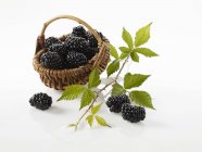 Amoras na cesta pequena — Fotografia de Stock