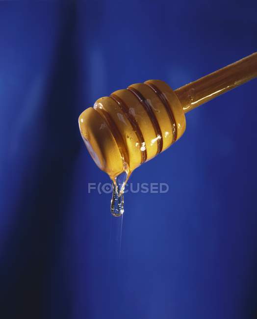 Wooden honey dipper — Stock Photo