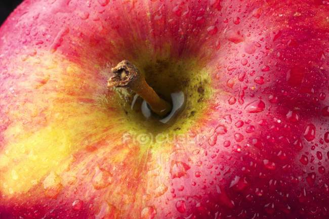 Pink Lady apple — Stock Photo
