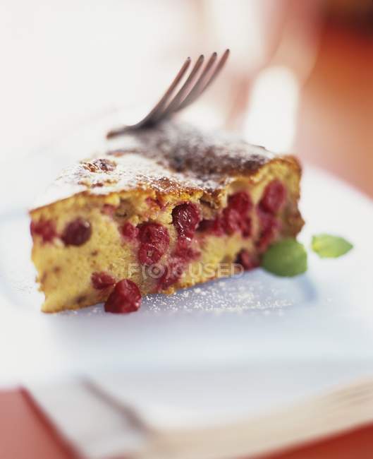 Piece of cranberry cake — Stock Photo