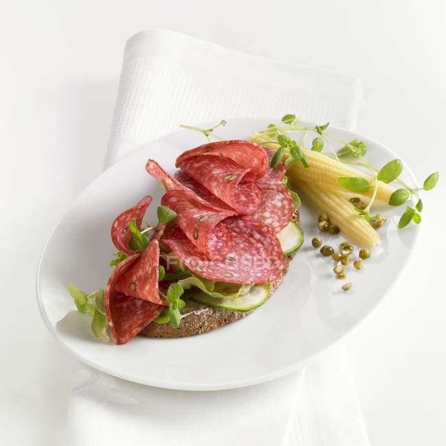 Pepper salami and salad — Stock Photo