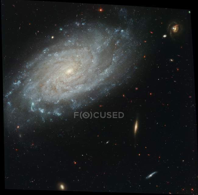 Spiral galaxy NGC 3370, HST image. This galaxy is around 98 million light years from Earth. — Stock Photo
