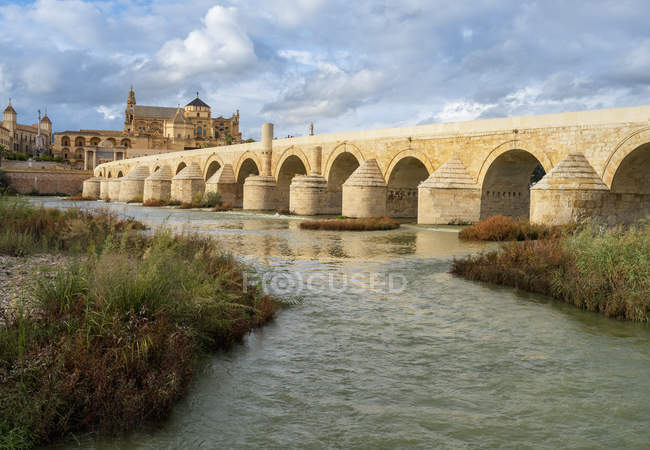 Roman bridge of Cordoba — Stock Photo