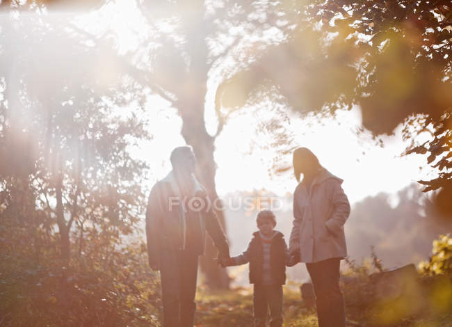 Silhouette of family walking together in park — Stock Photo