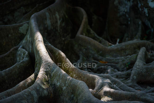 Indonesia, Bali, Kaban Gianyar, Goa-Gajah Temple, UNESCO World Cultural Heritage — Stock Photo