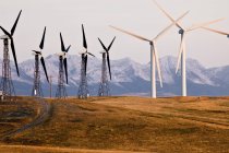Wind power turbines near Pincher Creek, Alberta, Canada. — Stock Photo
