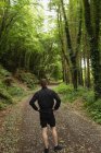 Rear view of man standing in forest — Stock Photo
