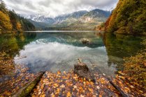 Autumn reflections at  Tovel lake, Ville d'Anaunia, Val di Non, Adamello-Brenta Natural Parck, Trentino-Alto Adige, Italy — Stock Photo