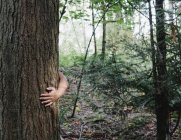 Male arm hugging tree trunk in green forest — Stock Photo