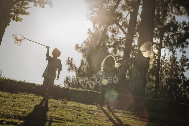 Children catching butterflies. — Stock Photo
