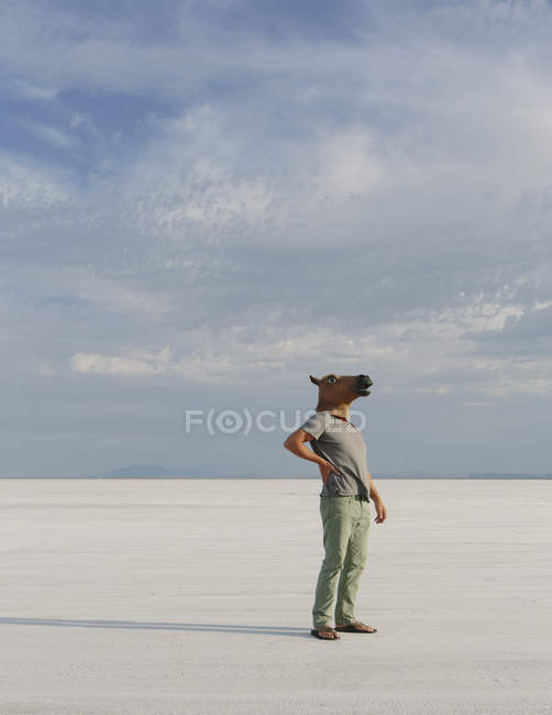 Homem usando máscara de cavalo — Fotografia de Stock