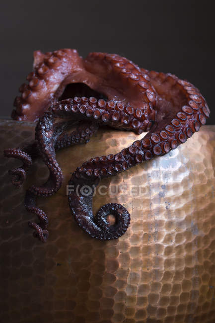 Boiled octopus in a stewpan — Stock Photo