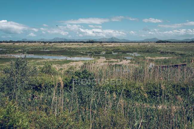 Amazing picturesque landscape view of mountains blue sky clouds and lake with high grass — Stock Photo