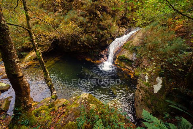 Small river and waterfall flowing in green dark beautiful forest. — Stock Photo