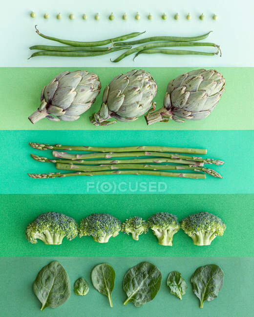 Close-up de um fundo verde, com vários vegetais, dispostos em fileiras — Fotografia de Stock