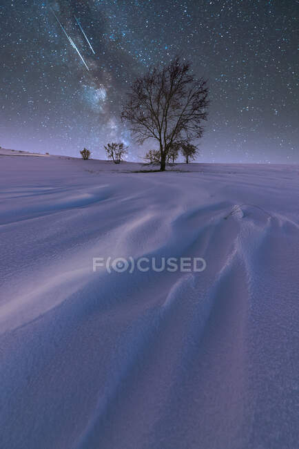 Spectacular landscape with Milky Way in colorful night sky above snowy field reflecting purple light with leafless trees — Stock Photo